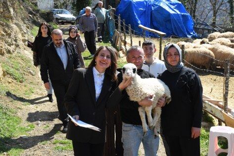 samsun haber: Samsun'da 46 yıllık miras kavgası 28 günde çözüldü