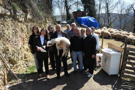 samsun haber: Samsun'da 46 yıllık miras kavgası 28 günde çözüldü