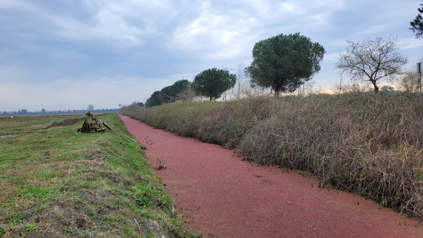 samsun haber: Samsun’da dikkat çeken görüntü! Gören telefonuna sarıldı