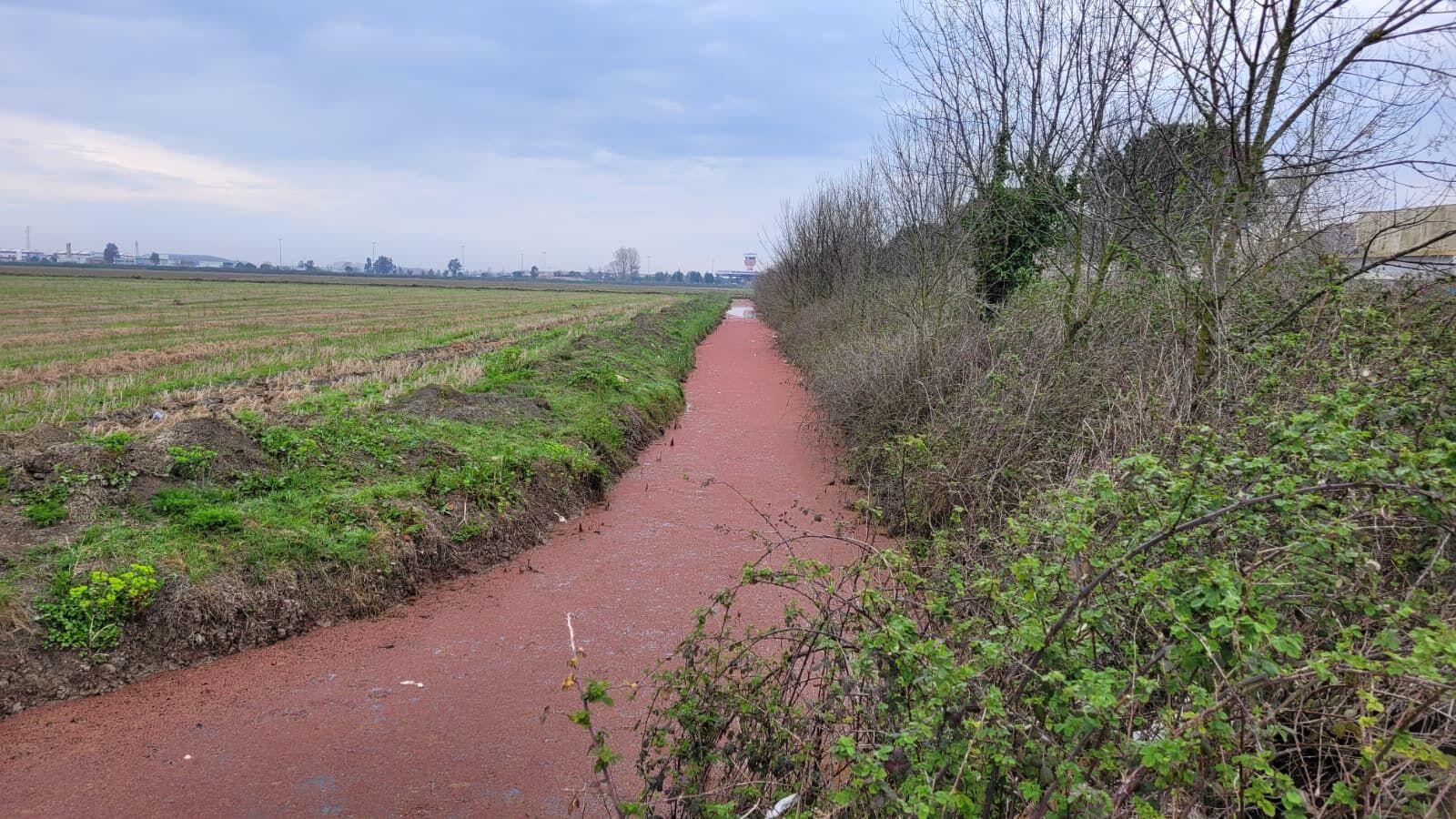 samsun haber: Samsun’da dikkat çeken görüntü! Gören telefonuna sarıldı