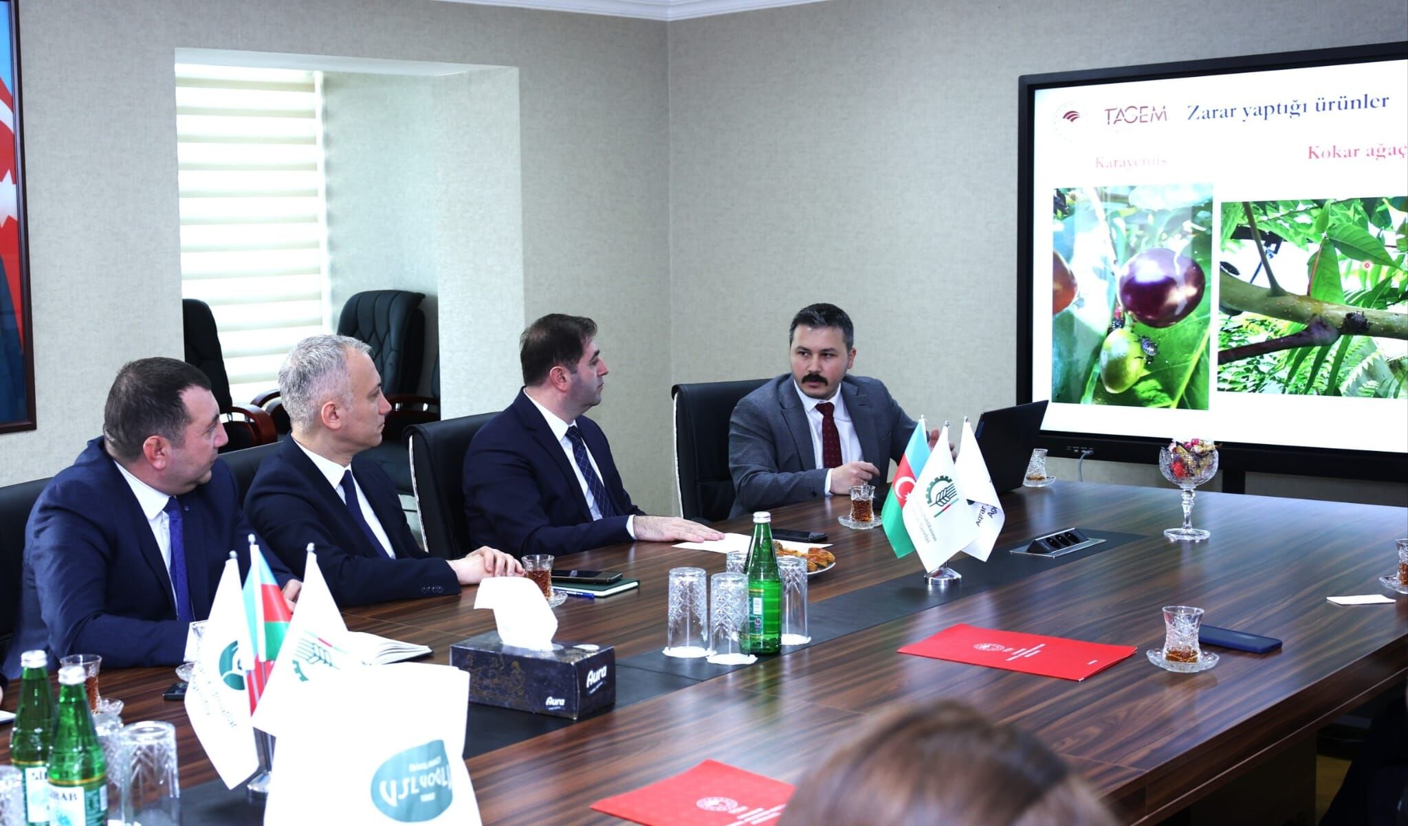 samsun haber: Kahverengi kokarca için uluslararası adım! Samsun devrede