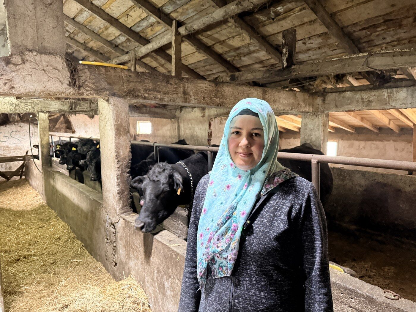 Samsun’da devlet desteğiyle hayvancılıkta başarı