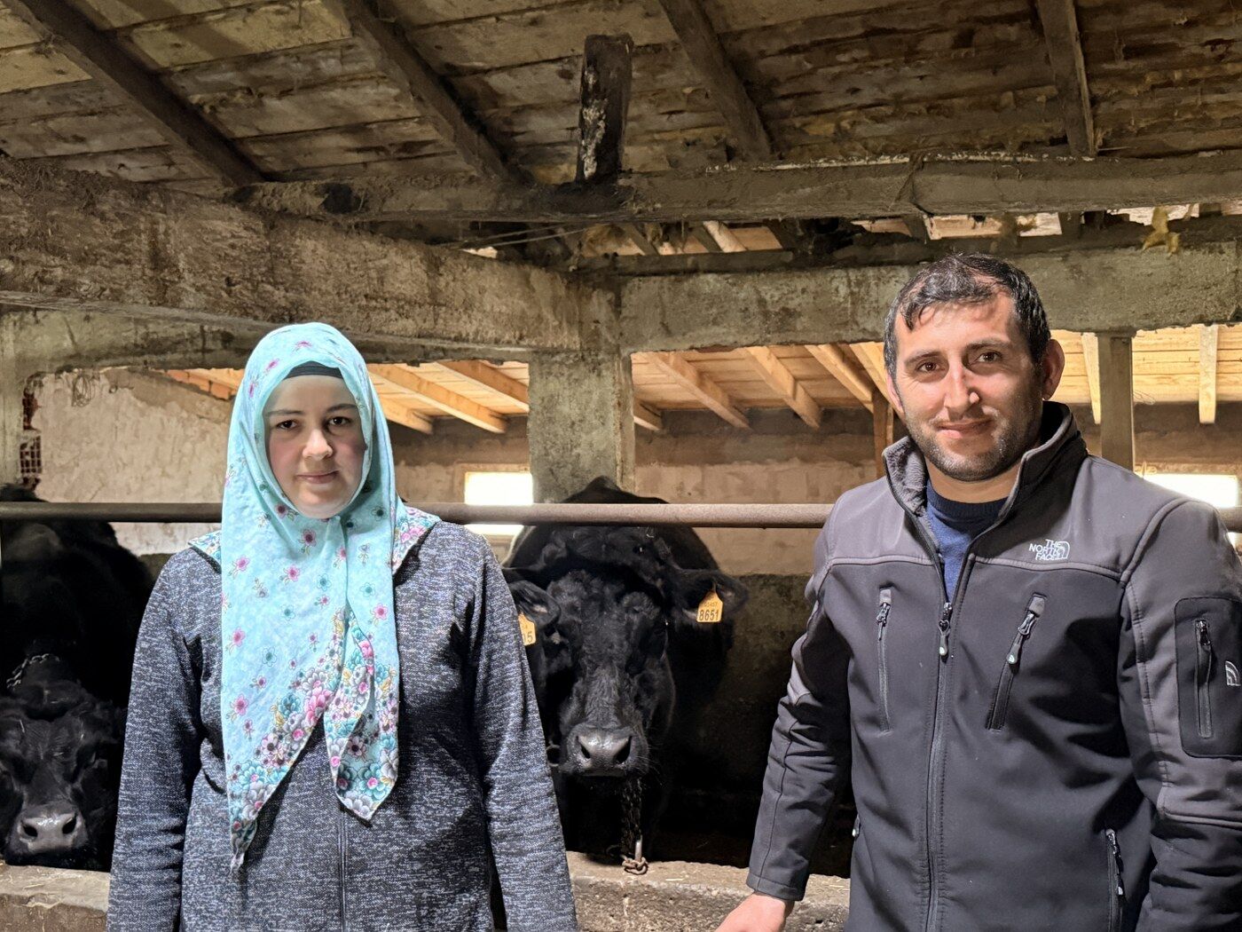 Samsun’da devlet desteğiyle hayvancılıkta başarı