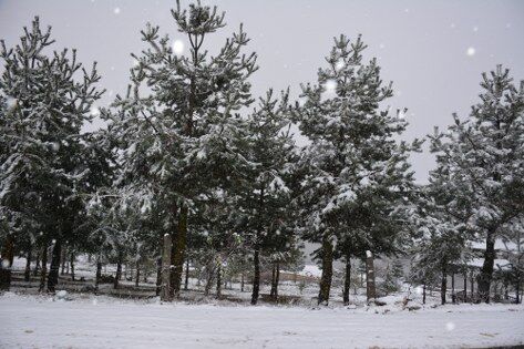 Karadeniz'de nisan karı sürprizi!