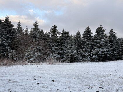 samsun haber: Samsun'da nisan ayında kar sürprizi!