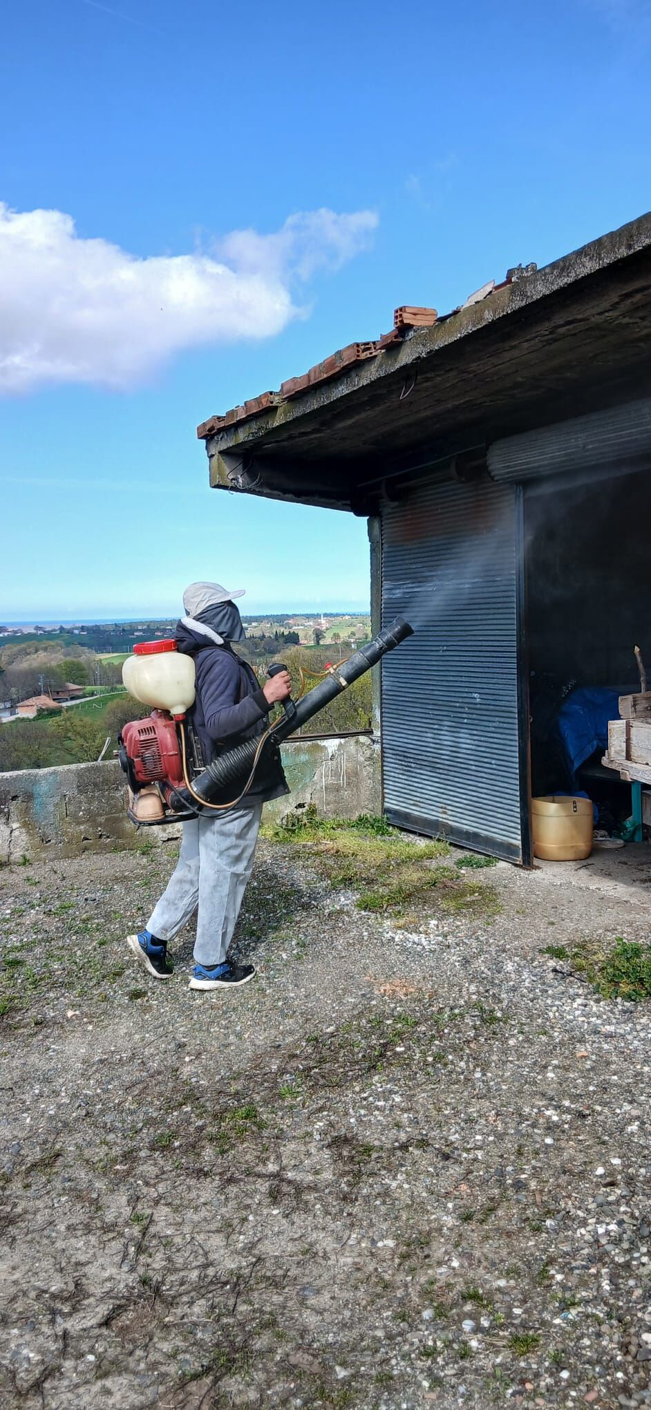 19 Mayıs’ta kokarca seferberliği! Mücadele sürüyor