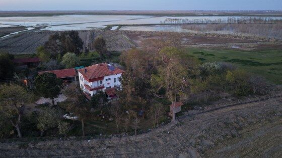samsun haber: Samsun’da evin bahçesinde 12 leylek yuvası