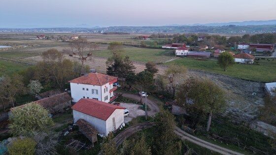 samsun haber: Samsun’da evin bahçesinde 12 leylek yuvası