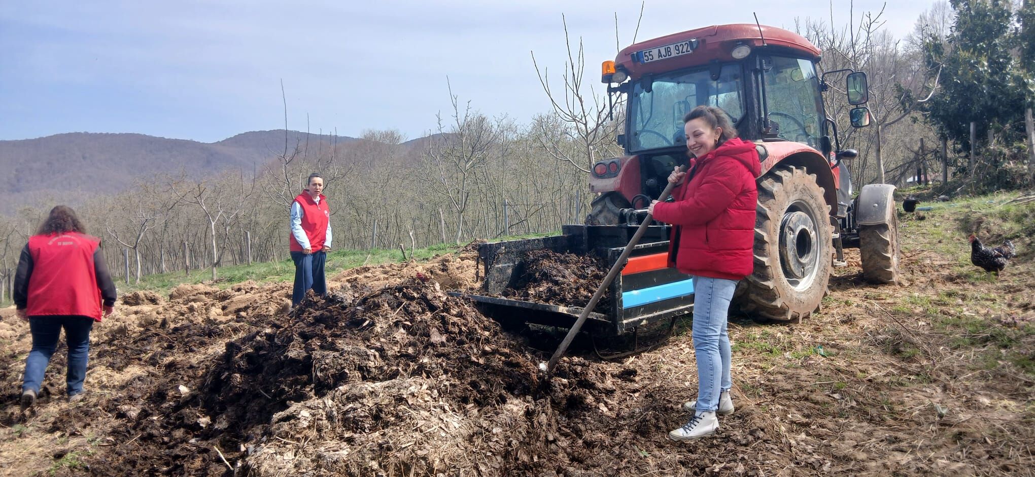 Samsun’da Nebiyan fasulyesi tarlalarında hazırlık zamanı