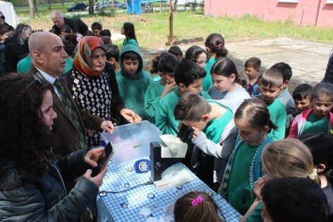 samsun haber: Samsun'da uğur böcekleri doğaya salındı! İşte nedeni 