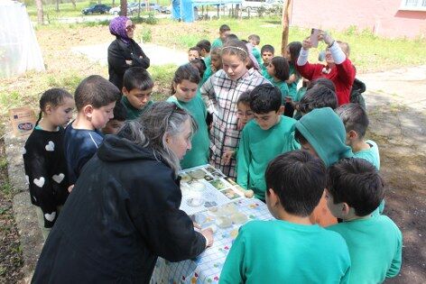 samsun haber: Samsun'da uğur böcekleri doğaya salındı! İşte nedeni 