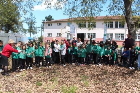 samsun haber: Samsun'da uğur böcekleri doğaya salındı! İşte nedeni 
