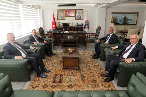samsun haber: Samsun’da 4 ilçe birleşti! Sahipsiz hayvanlar için kritik karar