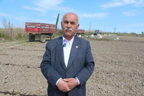 samsun haber: Bafra’da bereket umudu: Kavun ve karpuz fideleri toprakta 