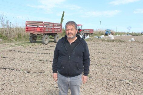 samsun haber: Bafra’da bereket umudu: Kavun ve karpuz fideleri toprakta 
