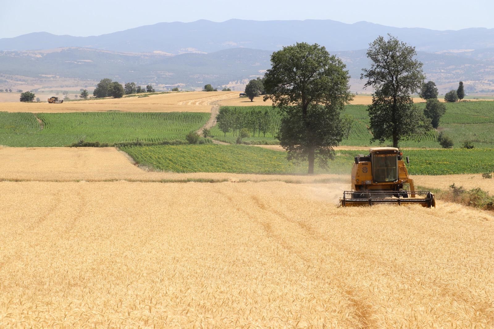 Samsun’da tarım ve hayvancılığa 3 milyarlık dev destek!