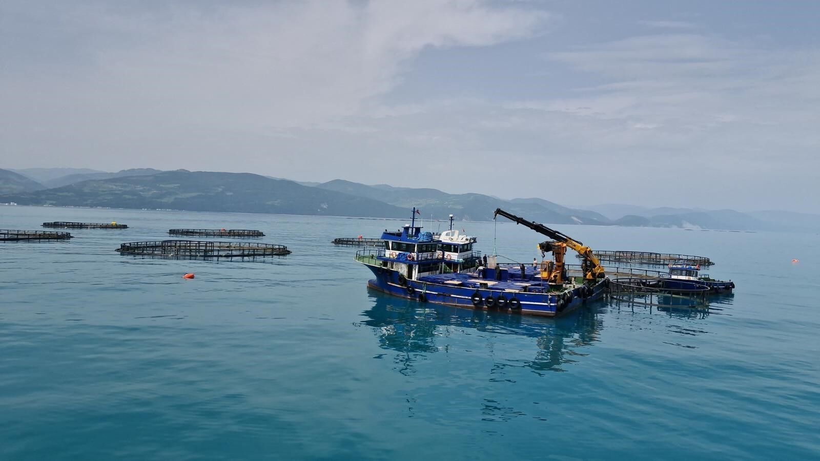 Samsun’da tarım ve hayvancılığa 3 milyarlık dev destek!