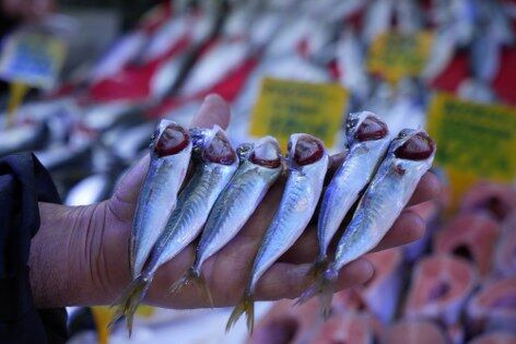 samsun haber: Samsun'da av yasağı öncesi balık tezgahlarında son fırsat! 