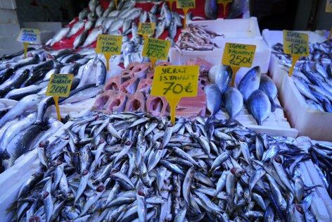 samsun haber: Samsun'da av yasağı öncesi balık tezgahlarında son fırsat! 