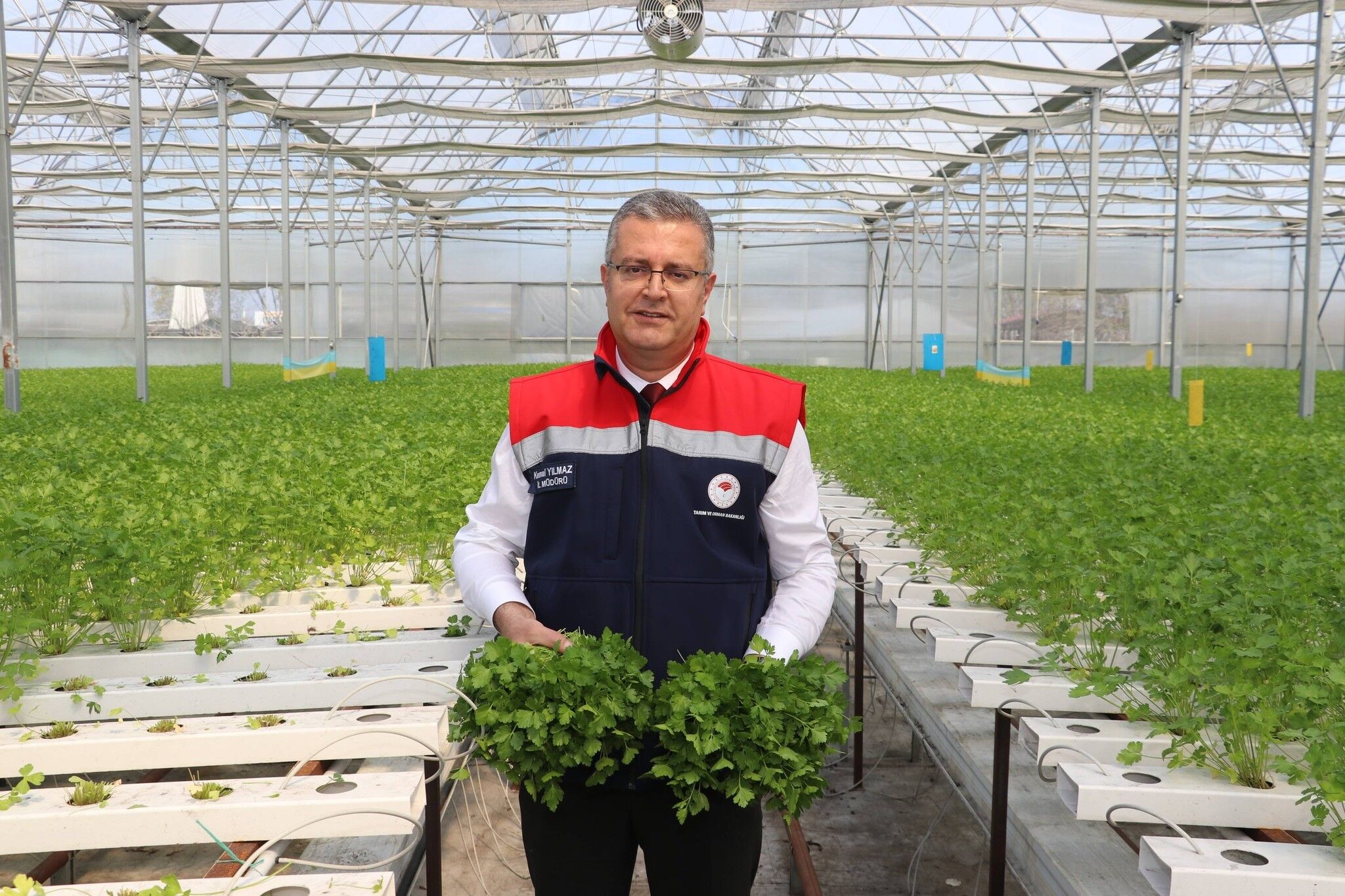 Topraksız tarımda büyük başarı! Samsun’da ilk hasat