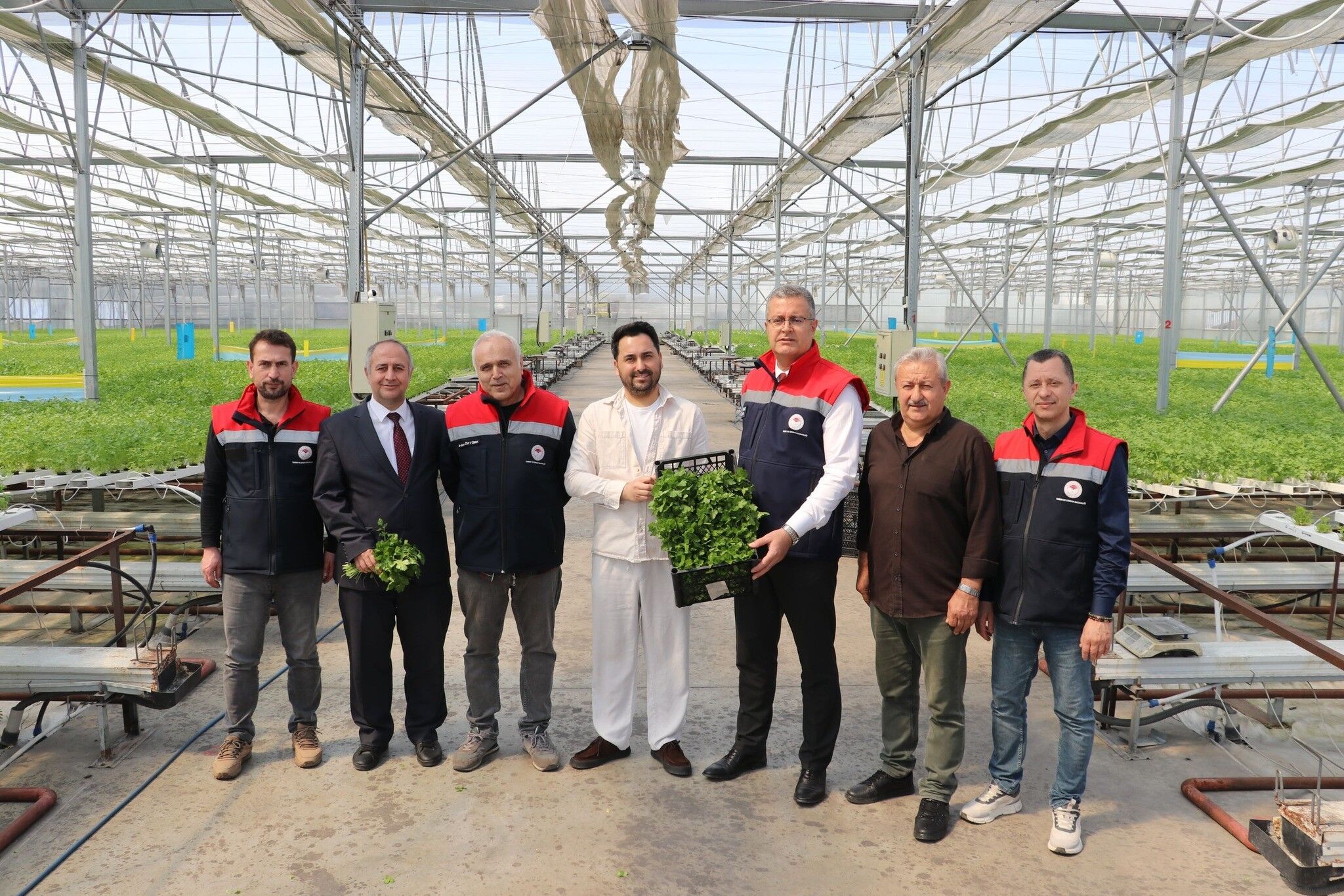 Topraksız tarımda büyük başarı! Samsun’da ilk hasat