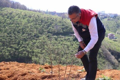 samsun haber: Samsun’da fındıkta verimi artıran model!