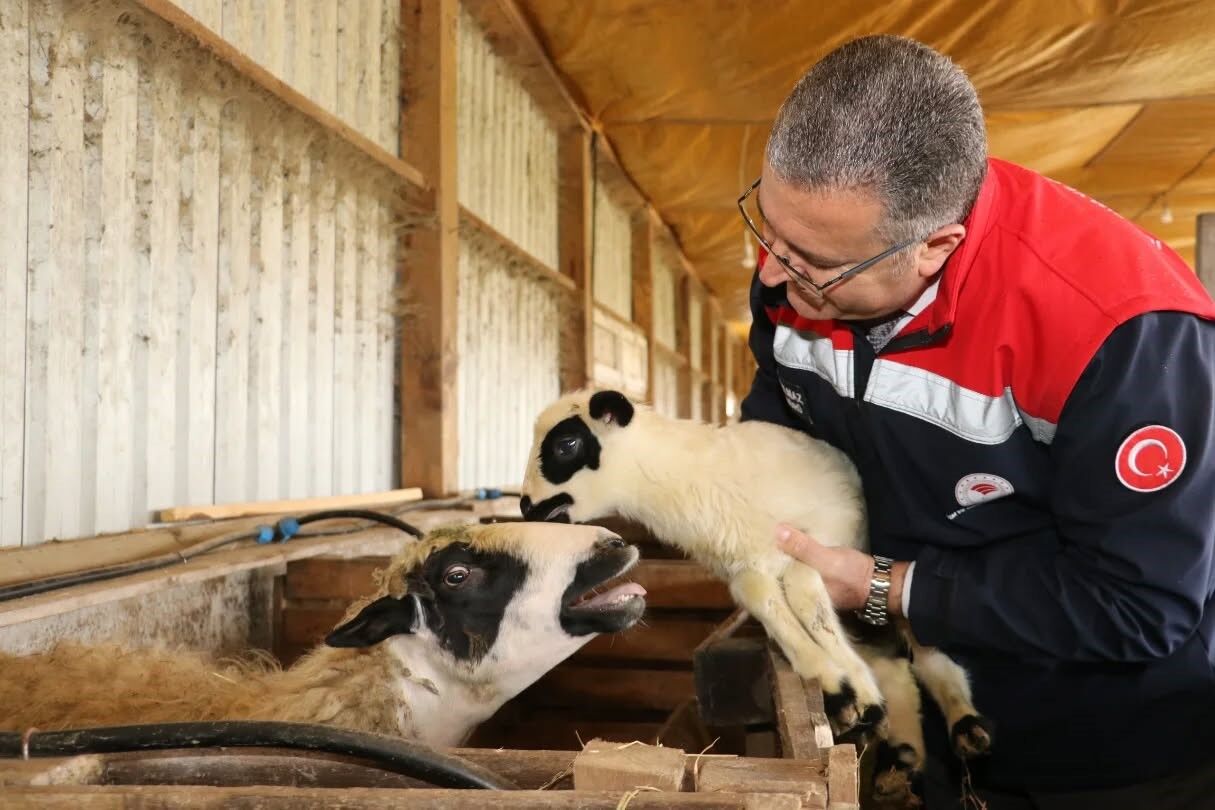 Samsun'da organik üretime yakın takip