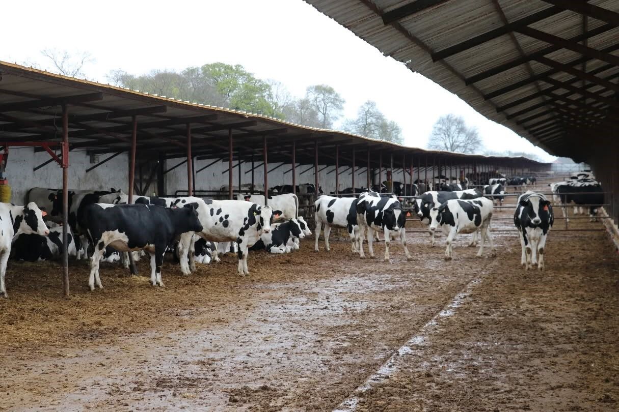 Samsun'da organik üretime yakın takip