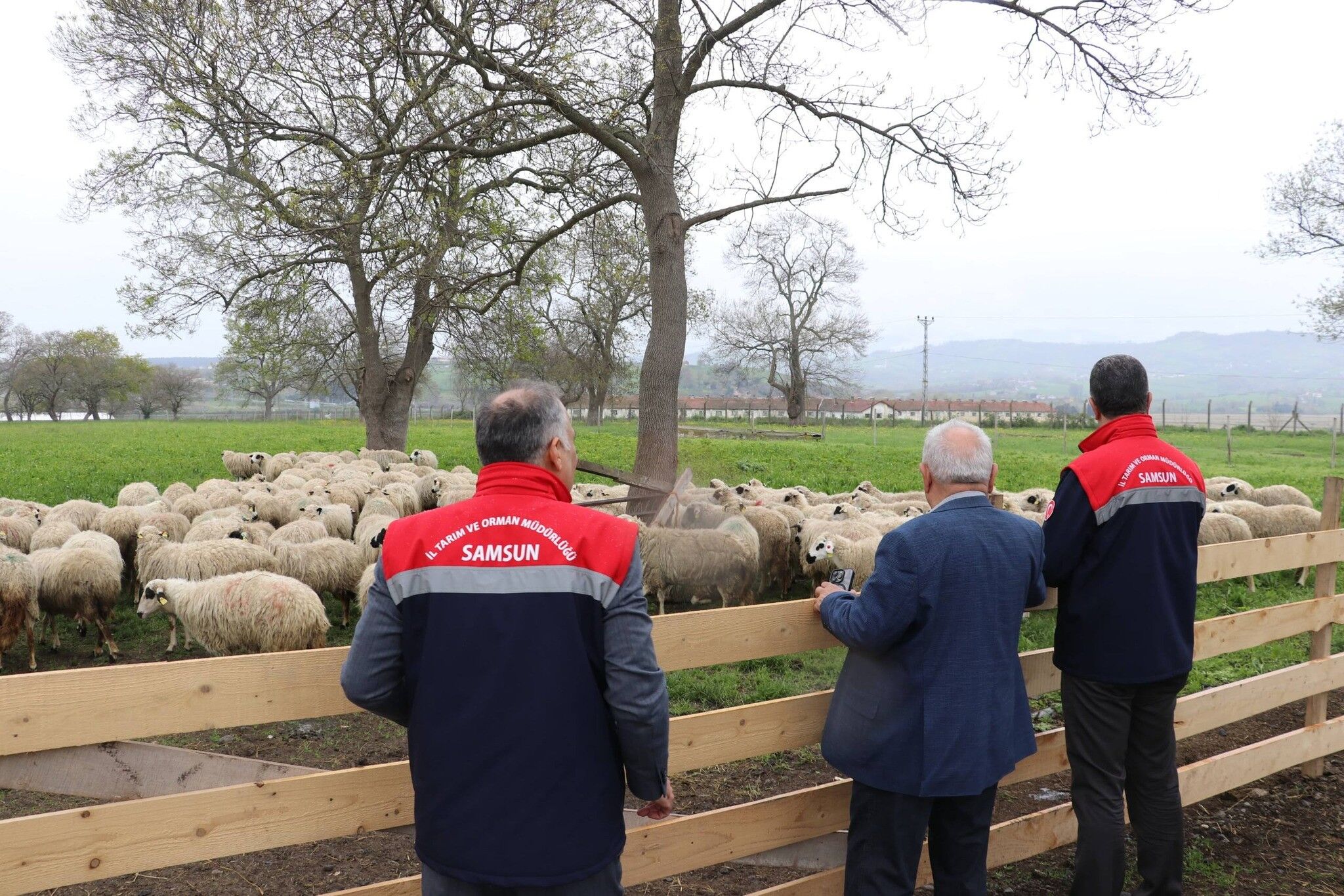 Samsun'da organik üretime yakın takip