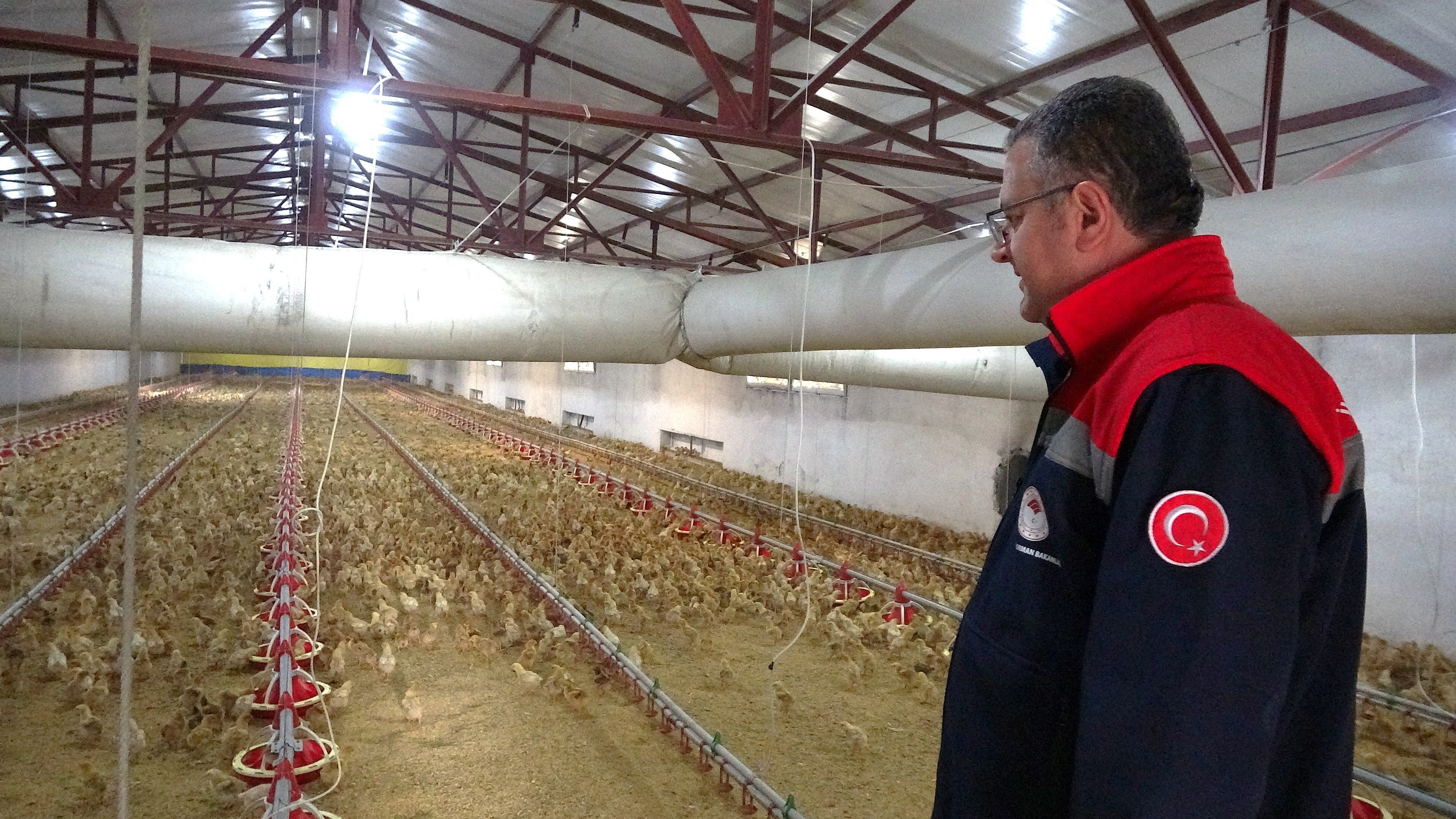 Samsun'da organik üretime yakın takip