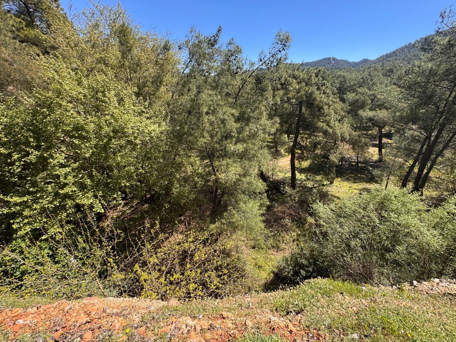 Samsunlu Kenan Zenginel’den acı haber! Uçurumdan düşerek can verdi