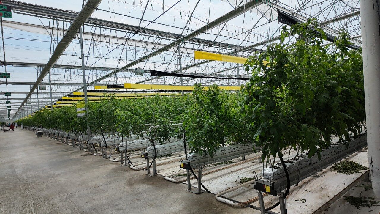 A W683236 03 1280X720