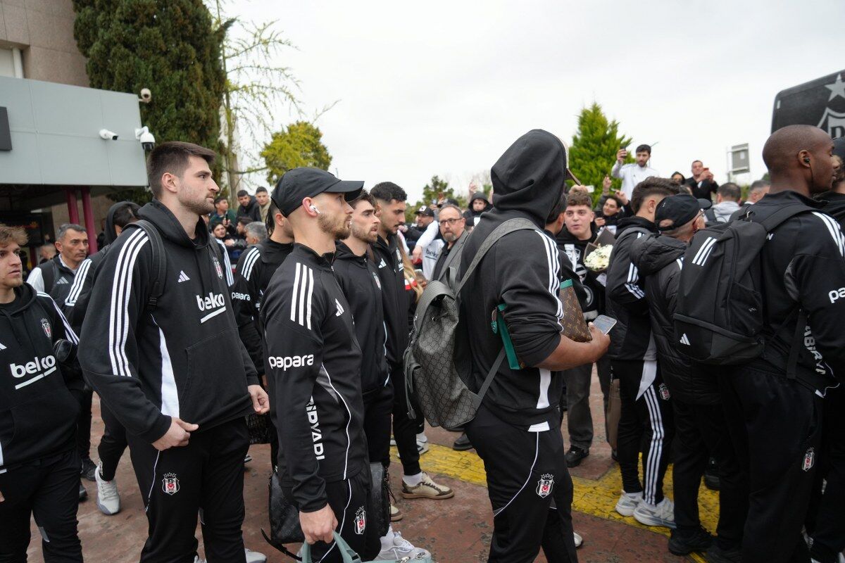 A W686440 06 1200X800