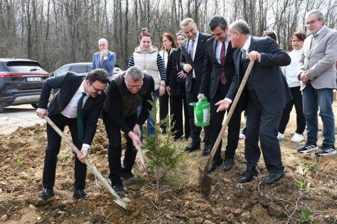 samsun haber: Samsun'da ormanlar ağaçlandırılıyor