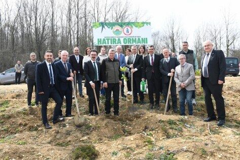 samsun haber: Samsun'da ormanlar ağaçlandırılıyor