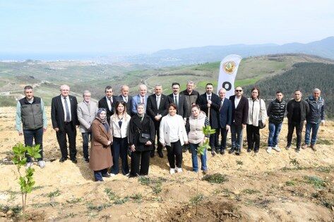 samsun haber: Samsun'da ormanlar ağaçlandırılıyor