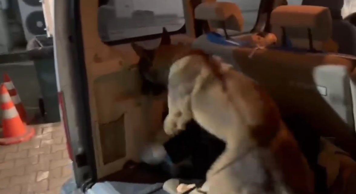 Adım adım izlendi: Samsun’a zehir sevkiyatına polis darbesi!