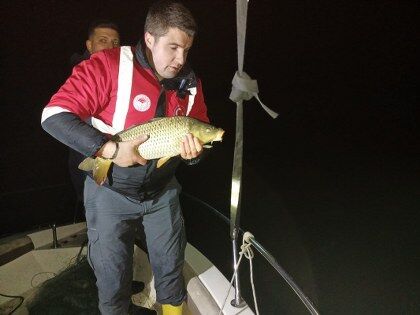 samsun haber: Samsun'da gece yarısı denetim! 60 kilo balık kurtarıldı 