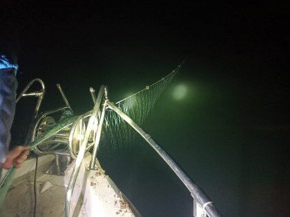 samsun haber: Samsun'da gece yarısı denetim! 60 kilo balık kurtarıldı 