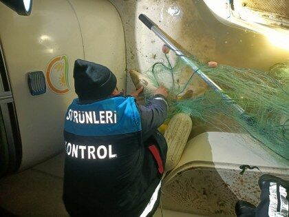 samsun haber: Samsun'da gece yarısı denetim! 60 kilo balık kurtarıldı 