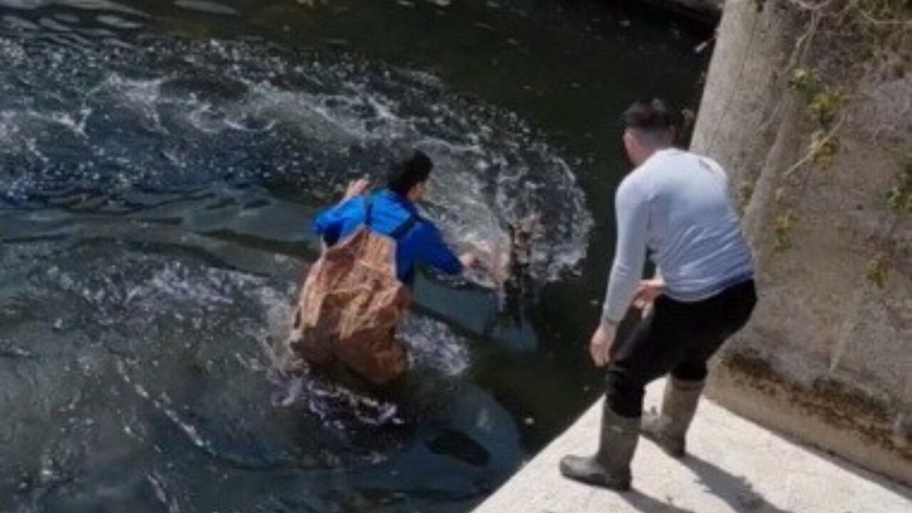 A W688000 03 1280X720