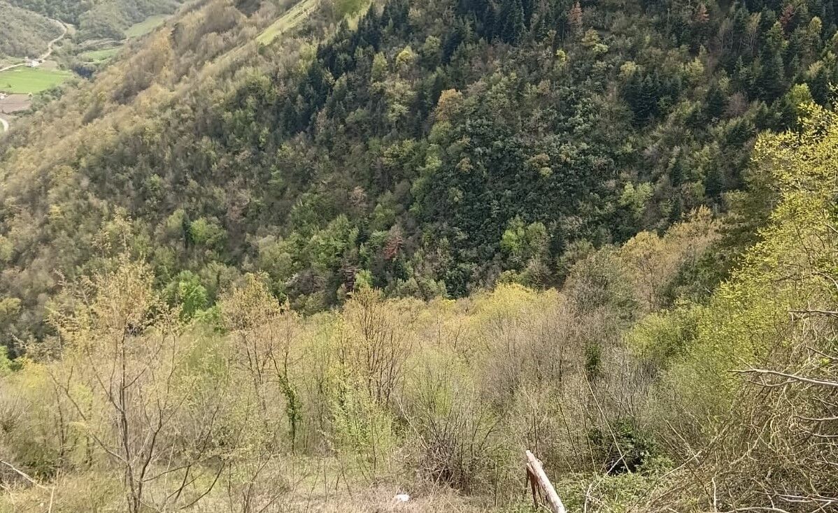 Samsun’da traktör uçuruma yuvarlandı!