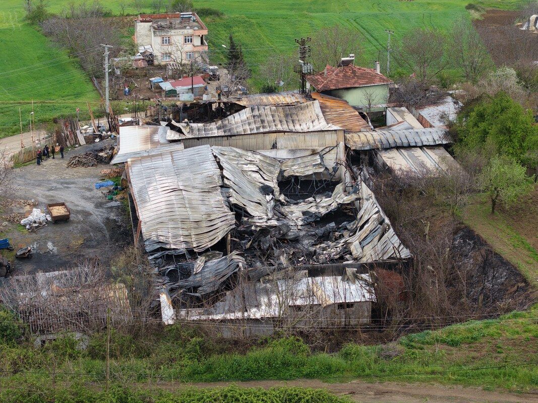 A W688829 01 1067X800