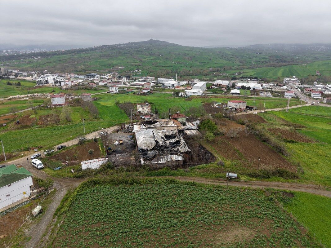 A W688829 07 1067X800