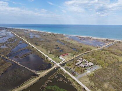 samsun haber: Kızılırmak Deltası Kuş Cenneti canlandı, ziyaretçi akını başladı 
