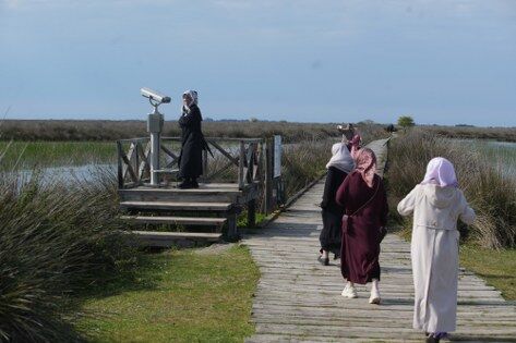 samsun haber: Kızılırmak Deltası Kuş Cenneti canlandı, ziyaretçi akını başladı 