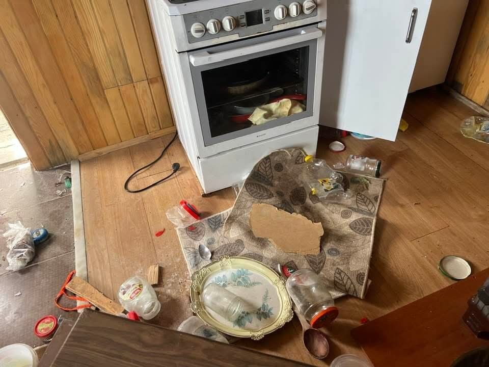 Kış uykusundan uyandılar! Karadeniz'de ayı paniği