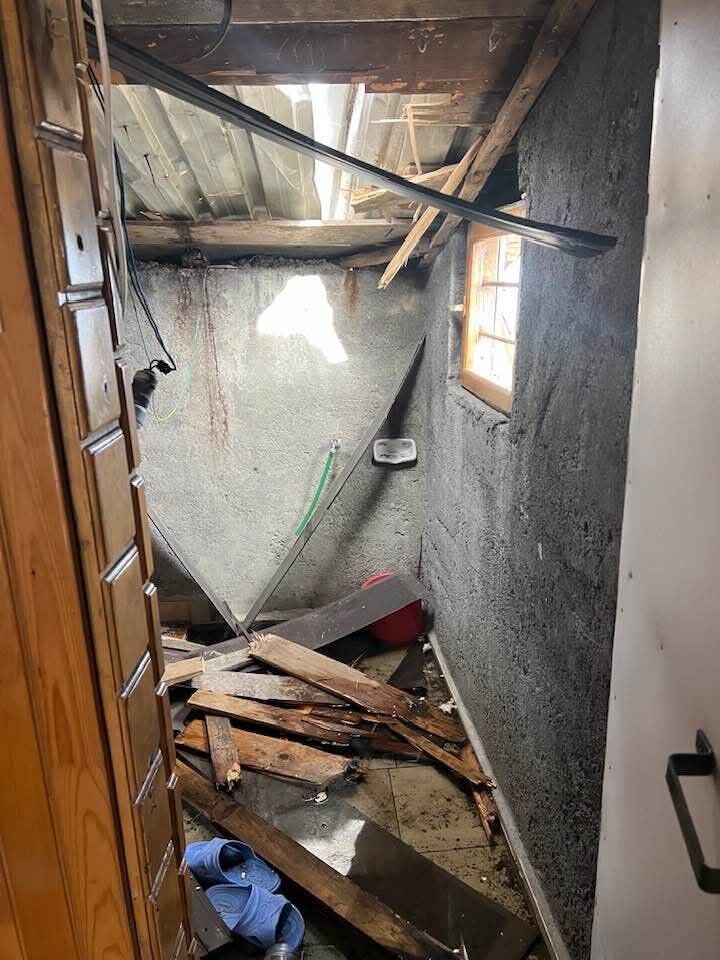 Kış uykusundan uyandılar! Karadeniz'de ayı paniği