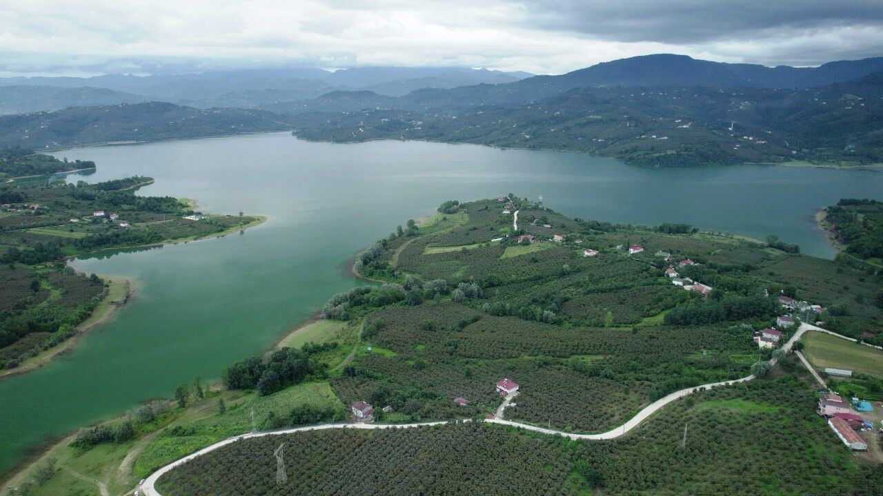 A W693823 01 1280X720