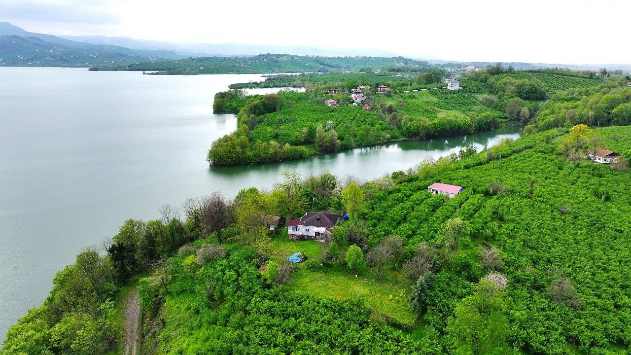 A W693823 03 1280X720